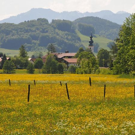 Ferienwohnungen Im Alpengaestehaus Marzoll - Bad Reichenhall Dış mekan fotoğraf