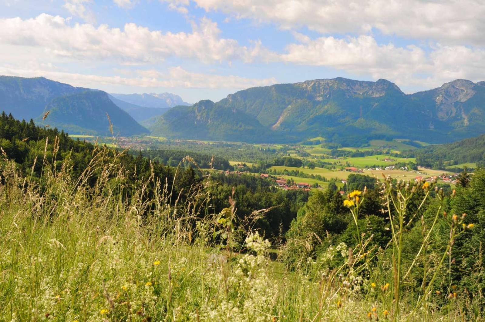 Ferienwohnungen Im Alpengaestehaus Marzoll - Bad Reichenhall Dış mekan fotoğraf