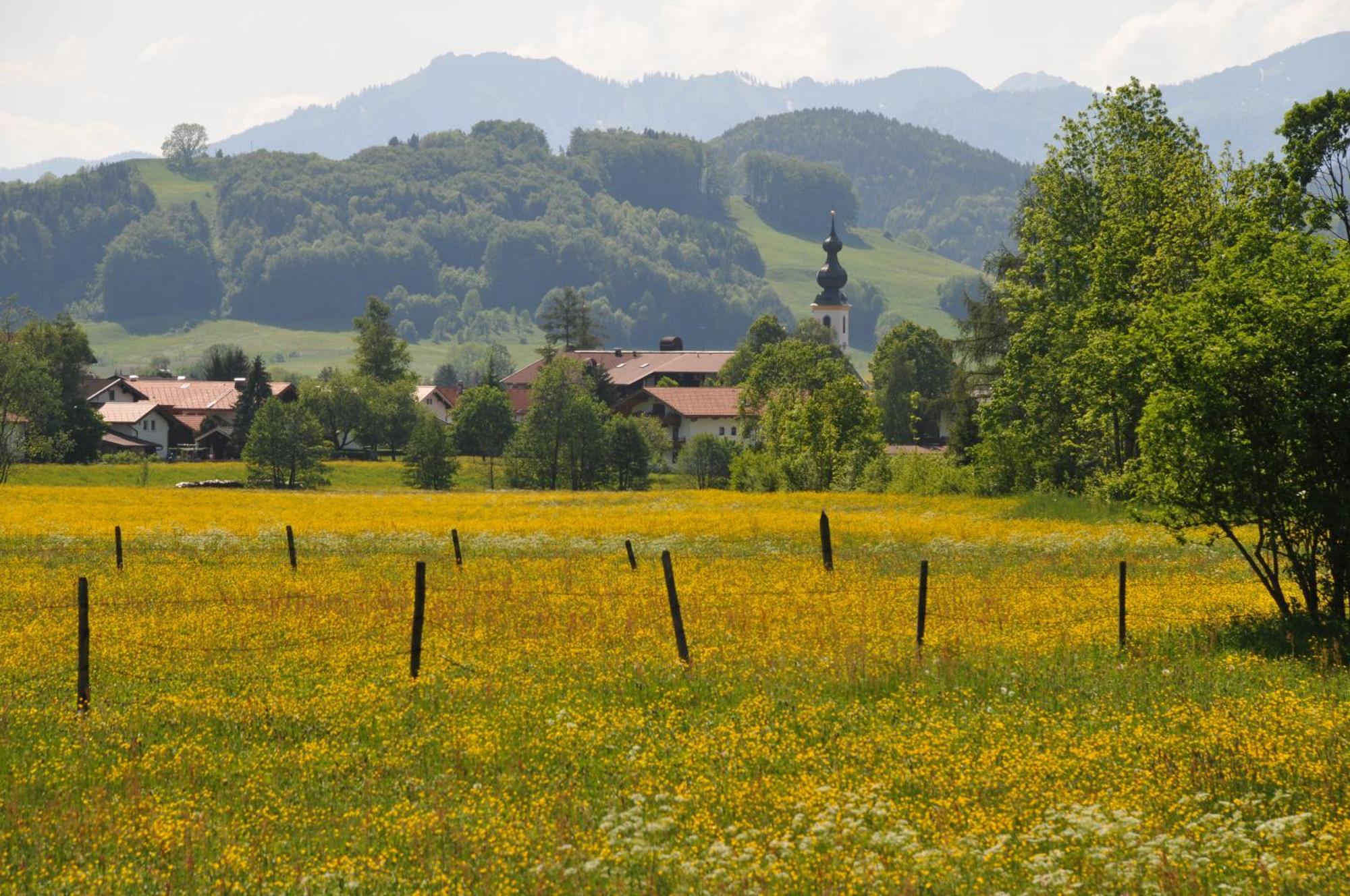 Ferienwohnungen Im Alpengaestehaus Marzoll - Bad Reichenhall Dış mekan fotoğraf