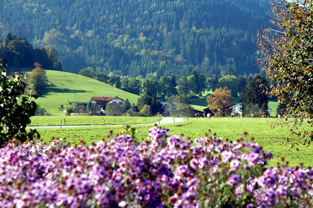 Ferienwohnungen Im Alpengaestehaus Marzoll - Bad Reichenhall Dış mekan fotoğraf